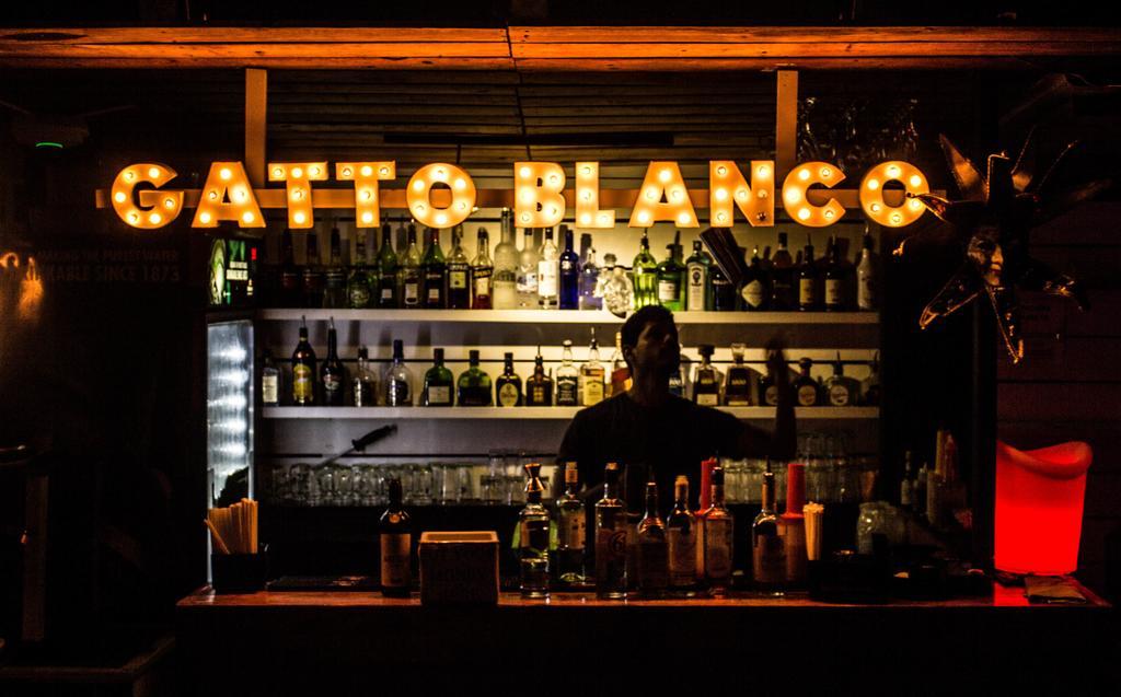 Gatto Blanco Party