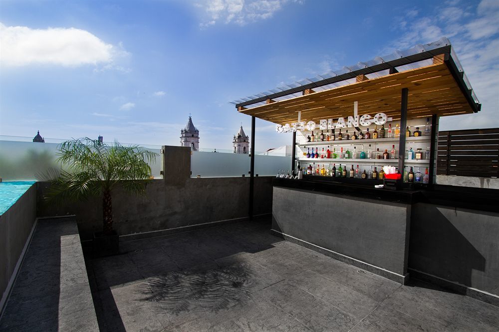 Gatto Blanco Party 3* Panama City